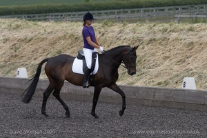 ISIS Dressage Challenge 2008